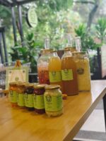 Kombucha de té verde LITRO - Image 2