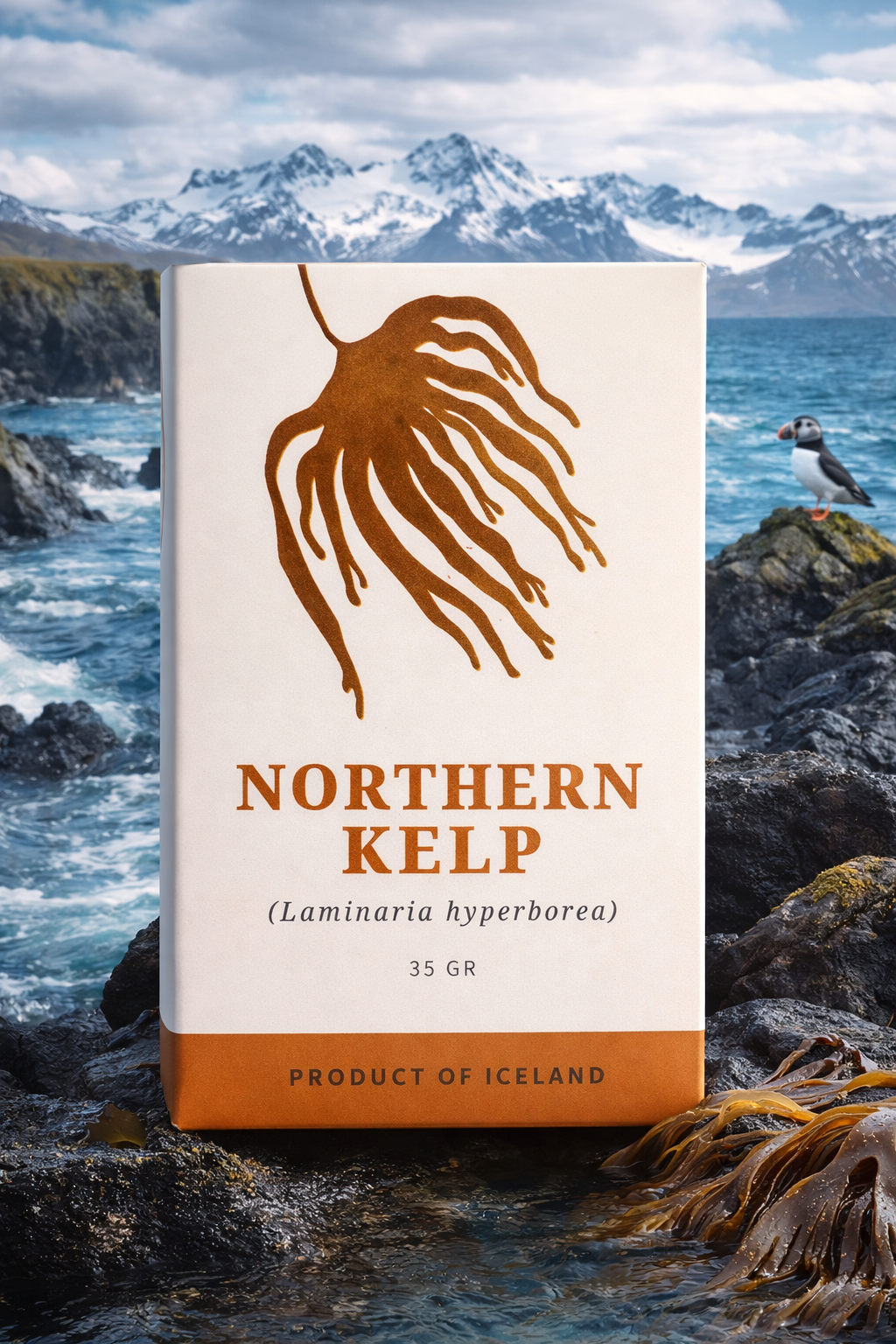 Northern kelp Vegetable protein