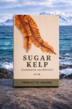 Sugar Kelp – Alga marina de Islandia
