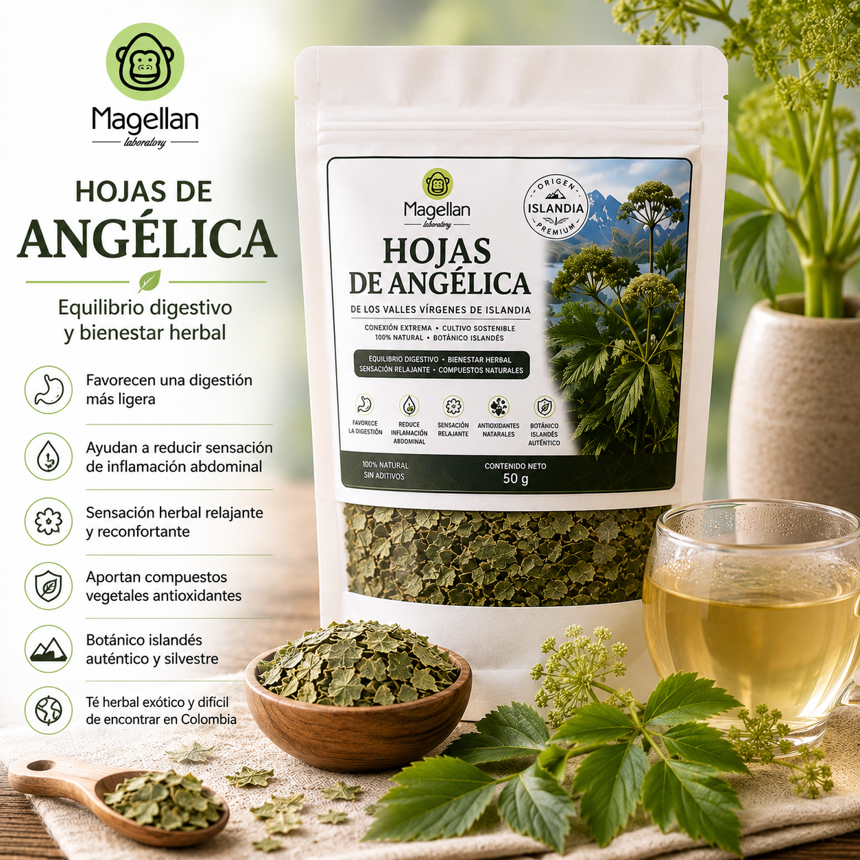 Hojas de angélica Hojas de Angélica - Image 1